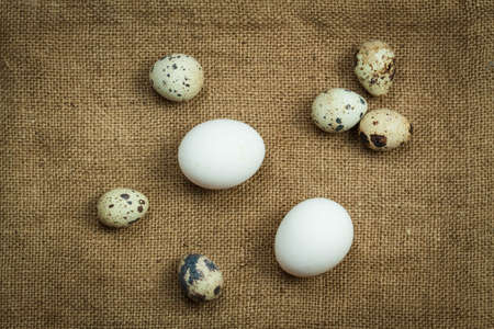 Quail eggs close up on sackcloth. Food ingredientsの写真素材