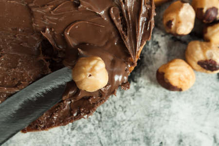 Chocolate nut butter and roasted hazelnuts on wood desk. Foodの写真素材