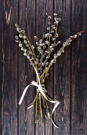 willow branch on wood background. Happy easterの写真素材