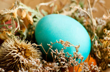 Colorful easter eggs close up on wood deskの写真素材