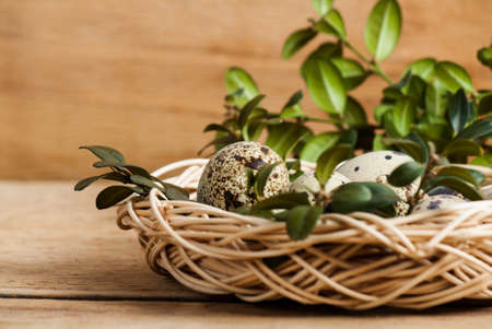 Colorful easter eggs close up on wood deskの写真素材