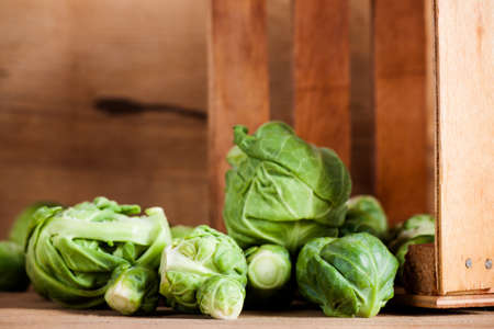 Fresh brussels cabbage isolated. Vegetables. Food ingredients