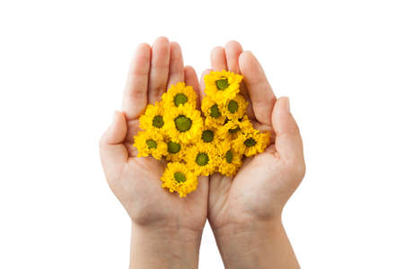 Yellow spring flower close up. Nature backgroundの写真素材