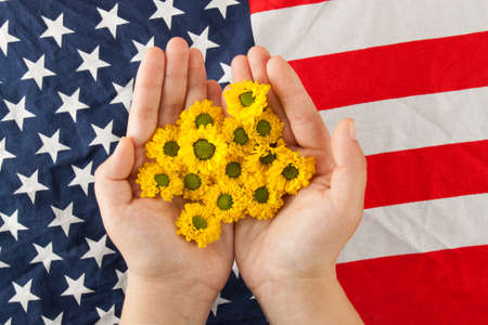 Yellow spring flower close up. Nature backgroundの写真素材