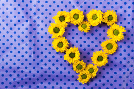 Yellow spring flower close up. Nature backgroundの写真素材