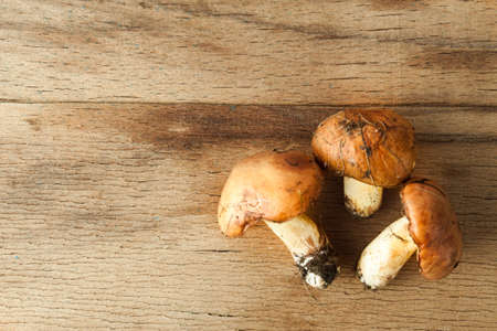 Yellow boletuses mushrooms close up on wood desk. Food ingredients