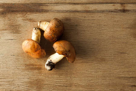 Yellow boletuses mushrooms close up on wood desk. Food ingredients