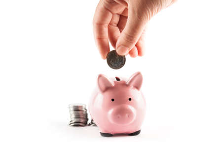 Pink pig and coins isolated on white background