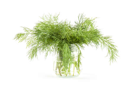 Fresh green dill isolated. Food ingredients. Healthy foodの写真素材