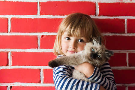 Happy little girl in hat on brick background with catの写真素材