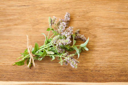 Fresh lemon balm on wood desk. Food ingredientsの写真素材