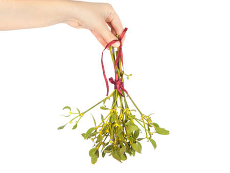 Green mistletoe isolated on white background. Christmas decorationの写真素材