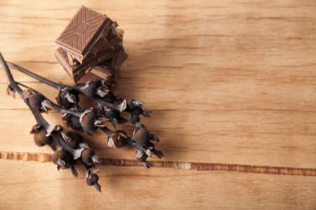 Piece of chocolate isolated on white backgroundの写真素材