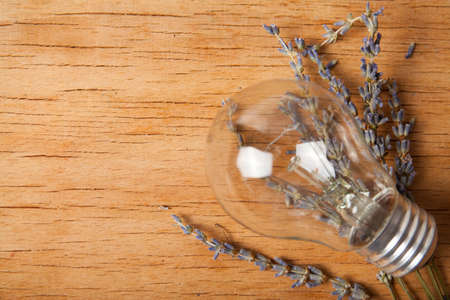 Flower lavender on wood desk.