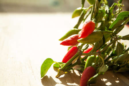 Small chilli pepper close up on wood desk.の写真素材