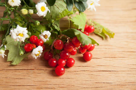 Ripe red viburnum close up on wood desk