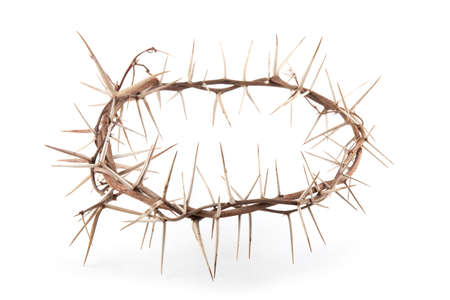 Crown of thorns isolated on white backgroundの写真素材