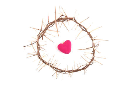 Crown of thorns isolated on white backgroundの写真素材