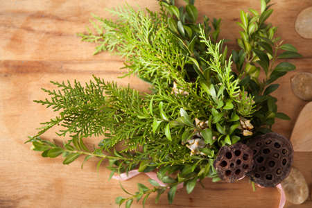 Green branch for christmas isolated. Holiday backgroundの写真素材