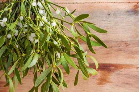 Branch mistletoe close up on wood desk. Happy new yearの写真素材