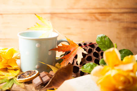 Fresh muffin close up on wood desk. Autumn compositionの写真素材