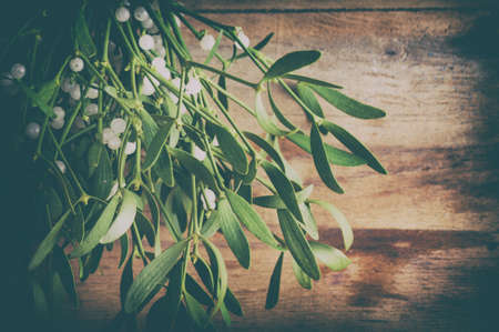 Green mistletoe on wood desk. Christmas backgroundの写真素材
