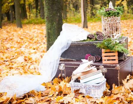 Weeding decoration in nature. Autumn composition in forestの写真素材