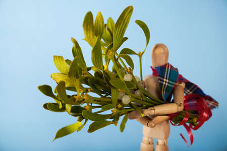 Green mistletoe close up and wood figureの写真素材