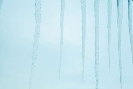 frozen icicle out door. nature background. winter weather