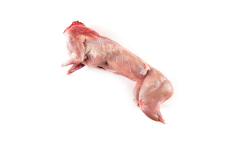 Raw rabbit carcass isolated on white backgroundの写真素材