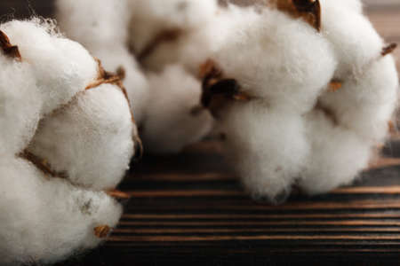Dry blossom cotton close up on wood desk.の写真素材