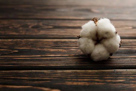 Dry blossom cotton close up on wood desk.の写真素材