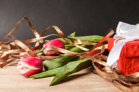 Red tulip on wood desk. Women's day March 8の写真素材