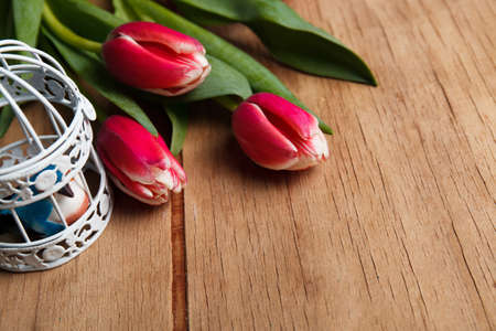 Red tulip on wood desk. Women's day March 8の写真素材