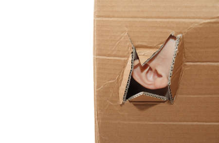 Ear in hole in paper box isolated on white