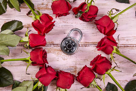 Red roses on background. Greeting card. Calendarの写真素材