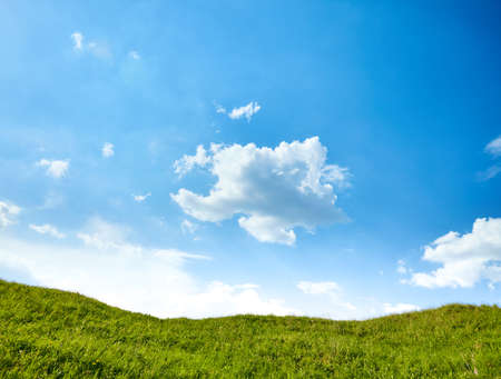 Blue sky with green field. Nature background
