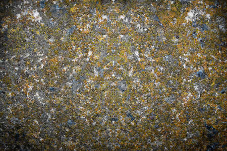 Abstract grunge wall texture. Old scratched paper
