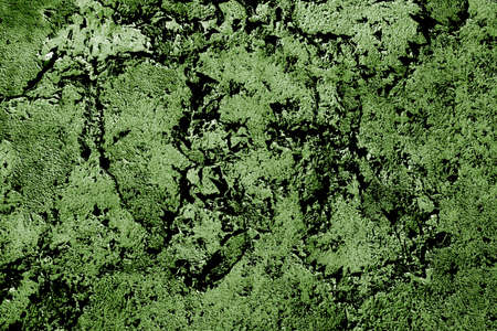 Abstract grunge wall texture background. Space for textの写真素材