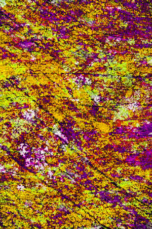 Abstract grunge wall texture background. Space for textの写真素材