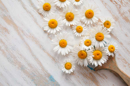 brush with flowers from chamomile. abstract compositionの写真素材