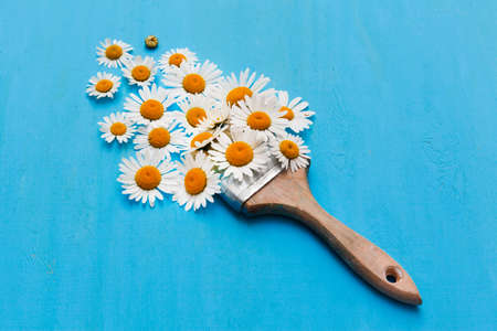 brush with flowers from chamomile. abstract compositionの写真素材