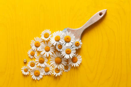brush with flowers from chamomile. abstract compositionの写真素材