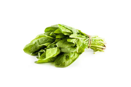 fresh green spinach isolated on white background. Health foodの写真素材