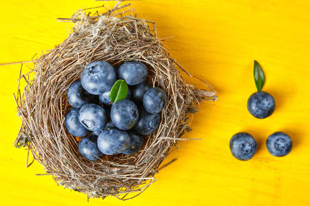Fresh ripe blueberry close up. Food ingredients. Nature backgroundの写真素材