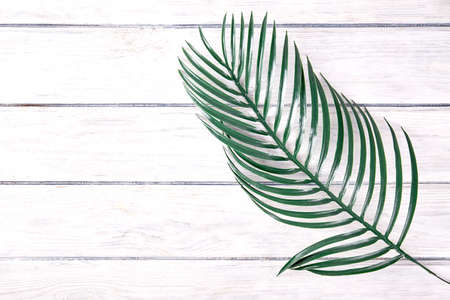 Green palm leaves close up on wood desk with place for textの写真素材