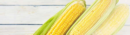 Fresh corn on wood desk. Food ingredients
