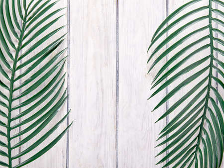 Green palm leaves on background. Summer travel concept