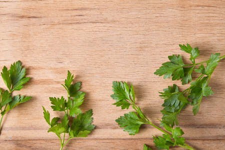 Fresh green parsley close up on wood desk. Food ingredientsの写真素材