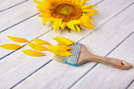 Fresh yellow sunflower close up. Nature backgroundの写真素材